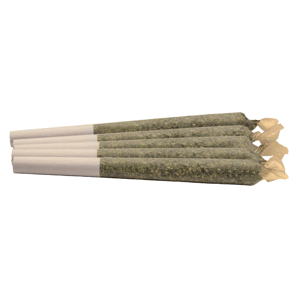 Préroulé Night Shift - 