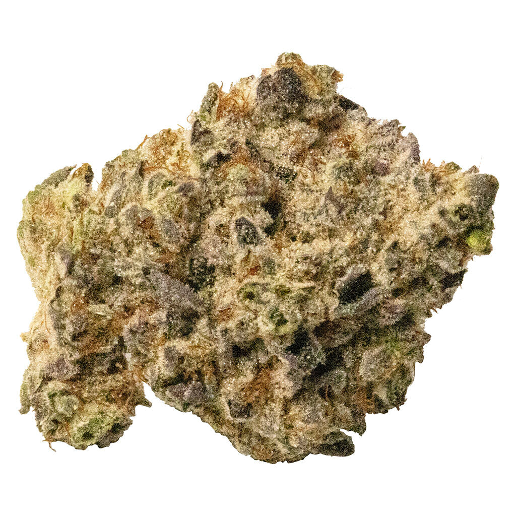 Souche unique Sativa Twist - 