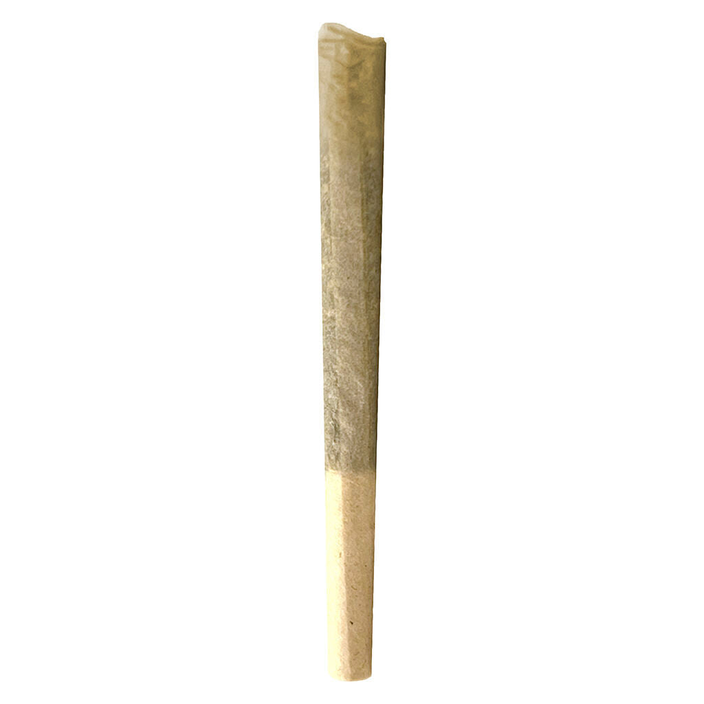Préroulé East Coast Dank’z - 