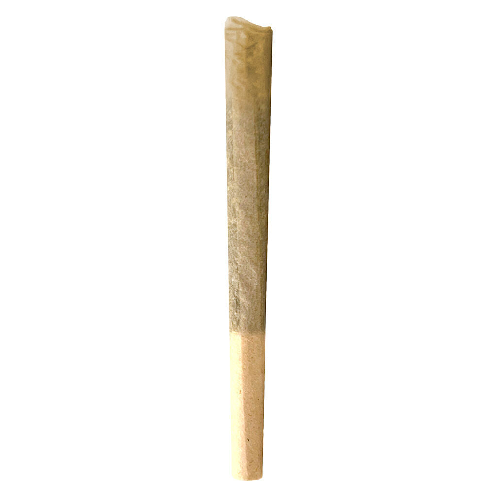Dante'z Inferno Pre-roll - 