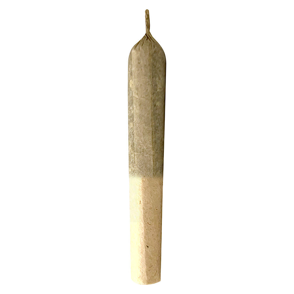 Dank St'x - 