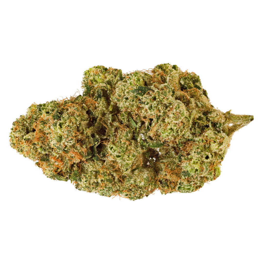 Electric Honeydew - 