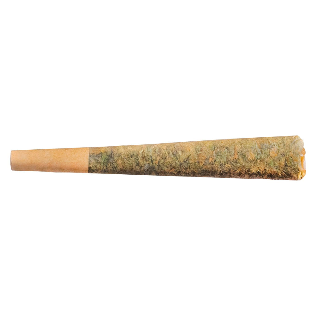 Préroulé Night Rider Indica - 