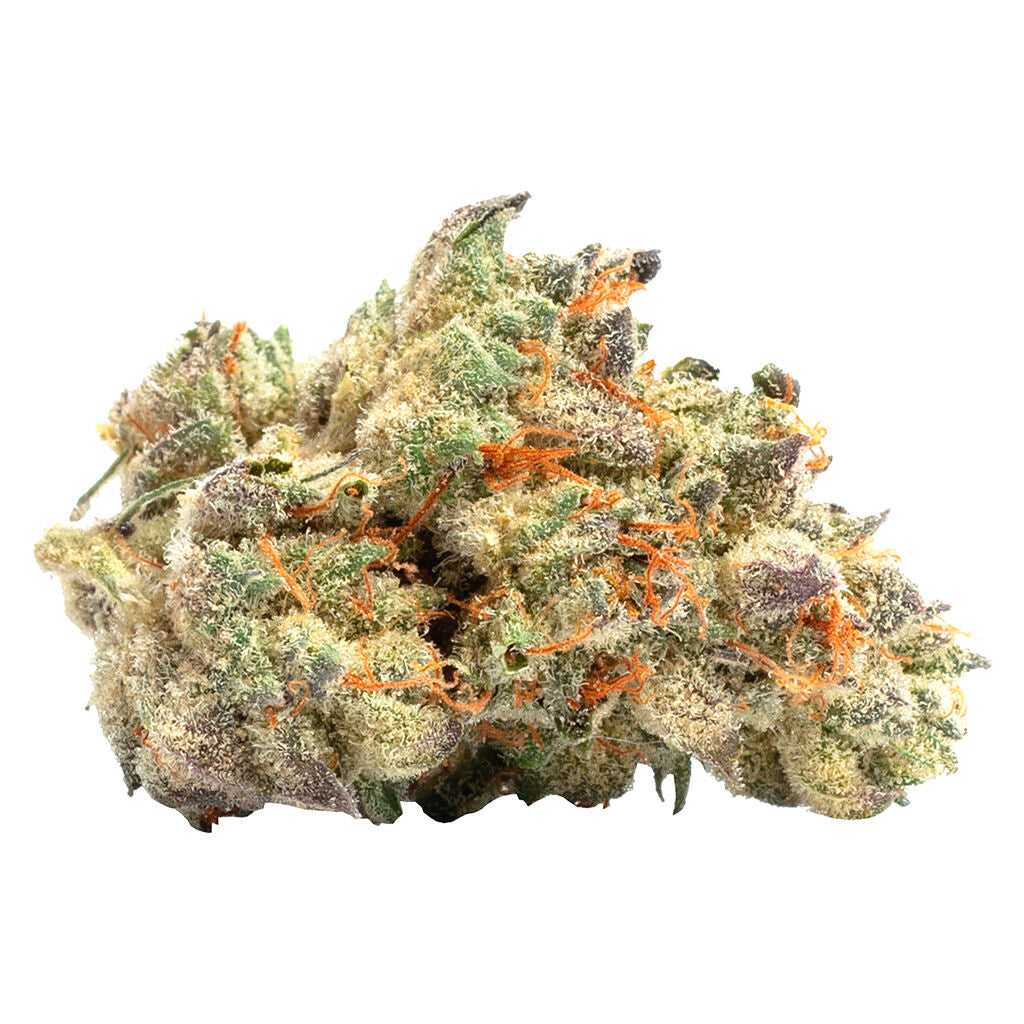 Purple Haze - 