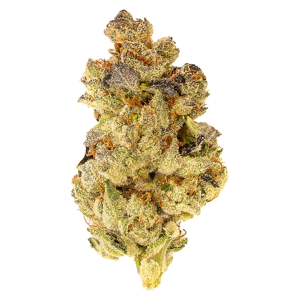 Mosa Orange Punch - 