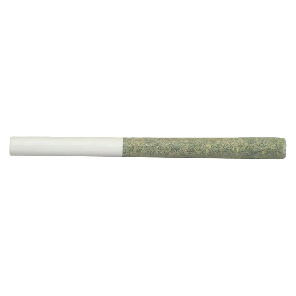 Préroulé Just Kush - 