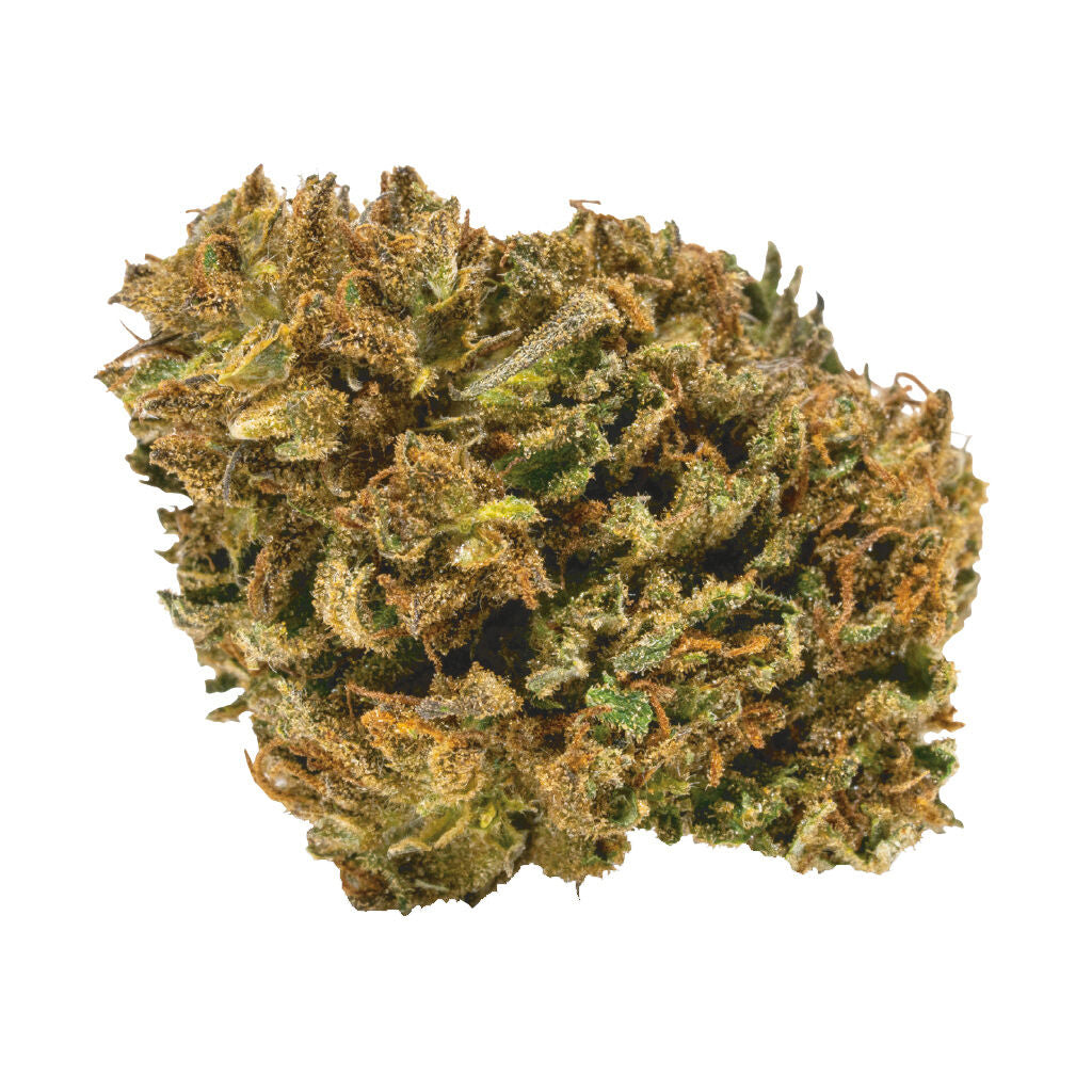 Fleur de cerisier - 