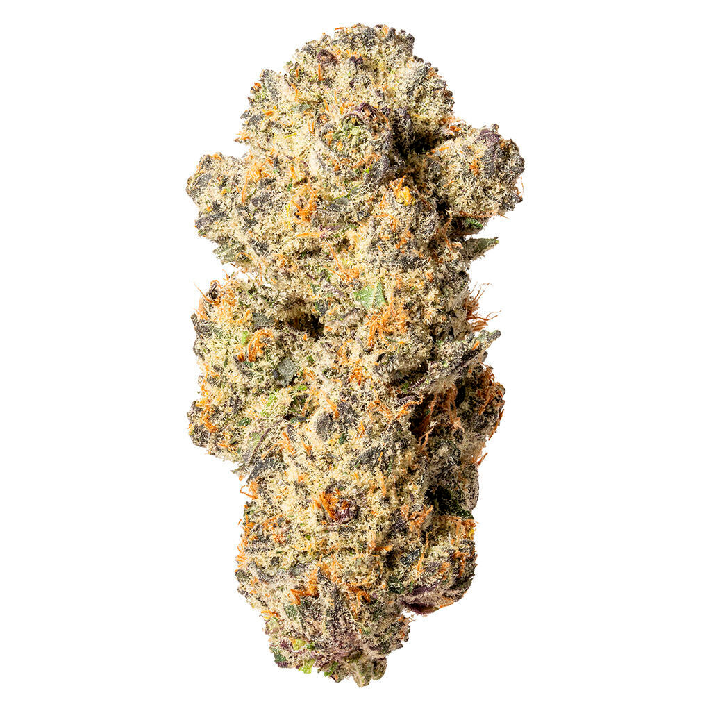 Original Indica - 