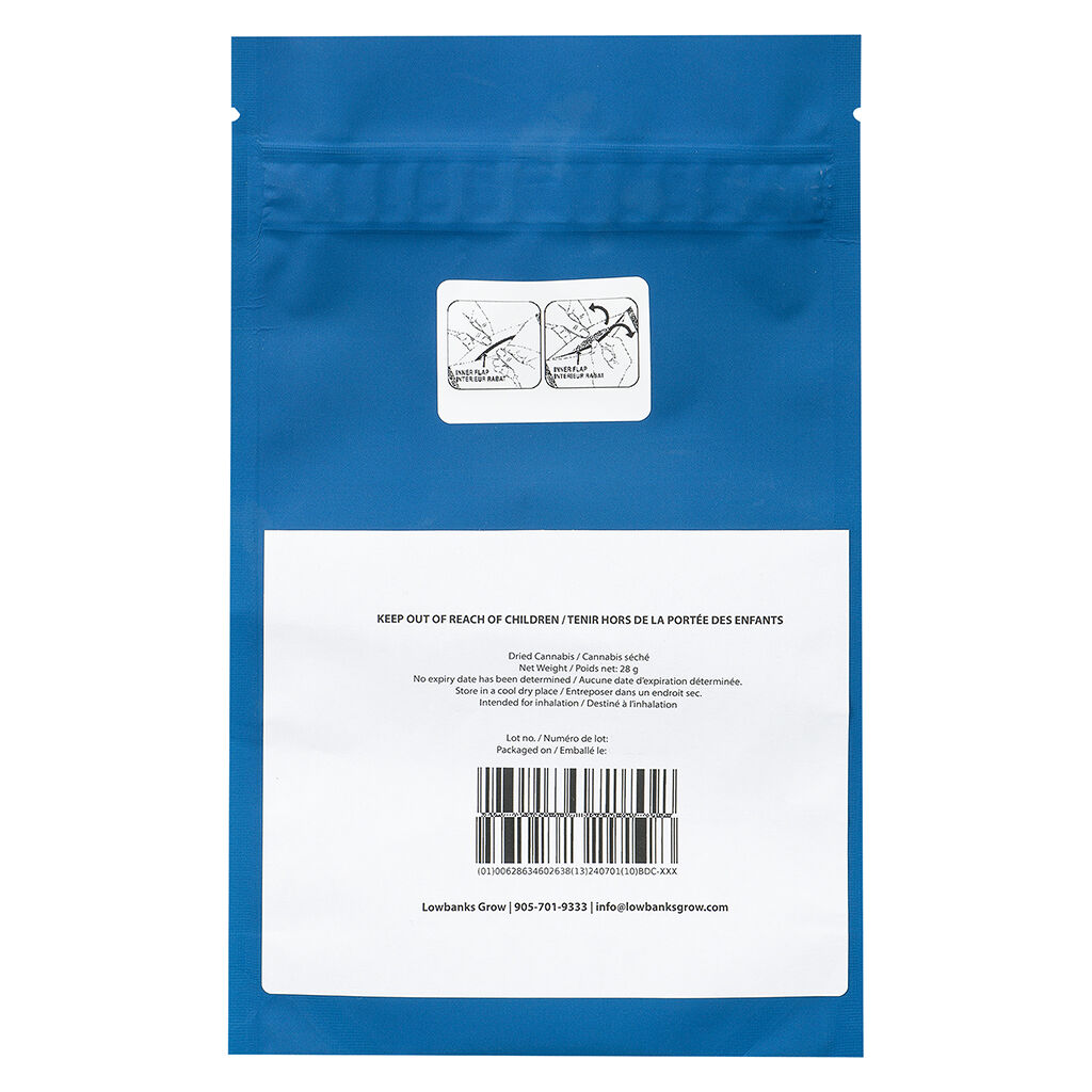 Paulander Purple Smalls - 