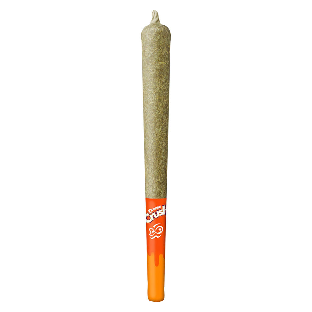 Préroulé infusé Orange Crush 44's - 