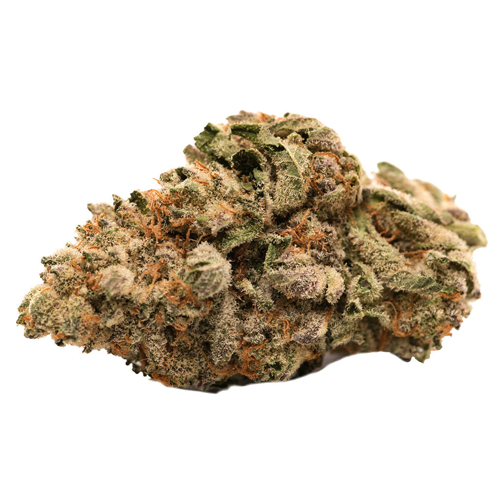 Grease Monkey - 