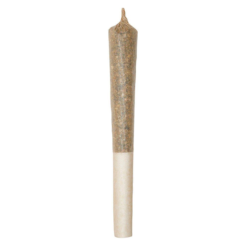 Préroulés Infusé Stoney Baloney - 