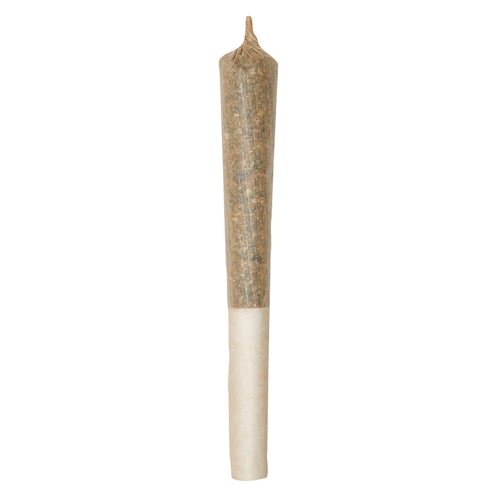Itsy Bitsy Tipsy Reefer Rolls - 