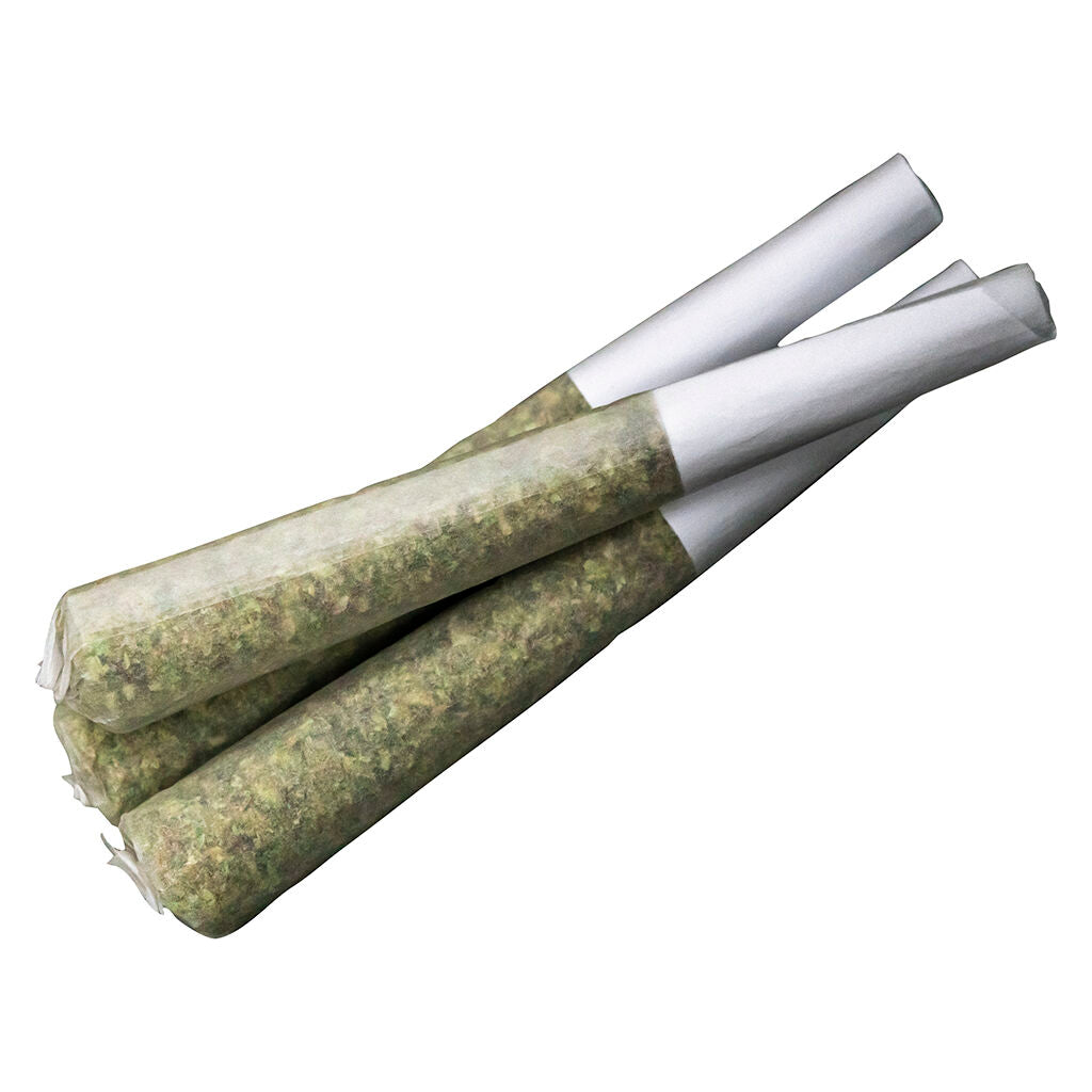 Préroulé 33 Splitter - 