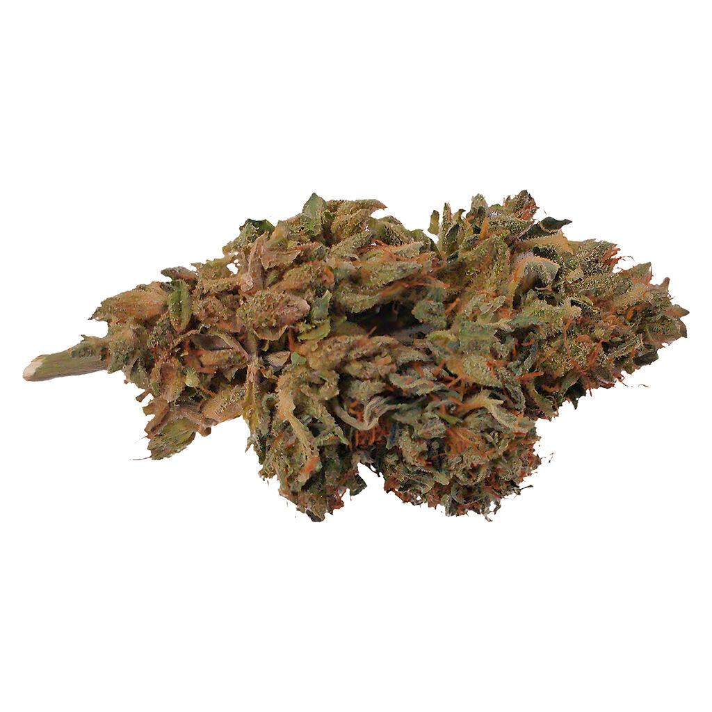 Fleur de CBD artisanale et biologique Ambassador - 
