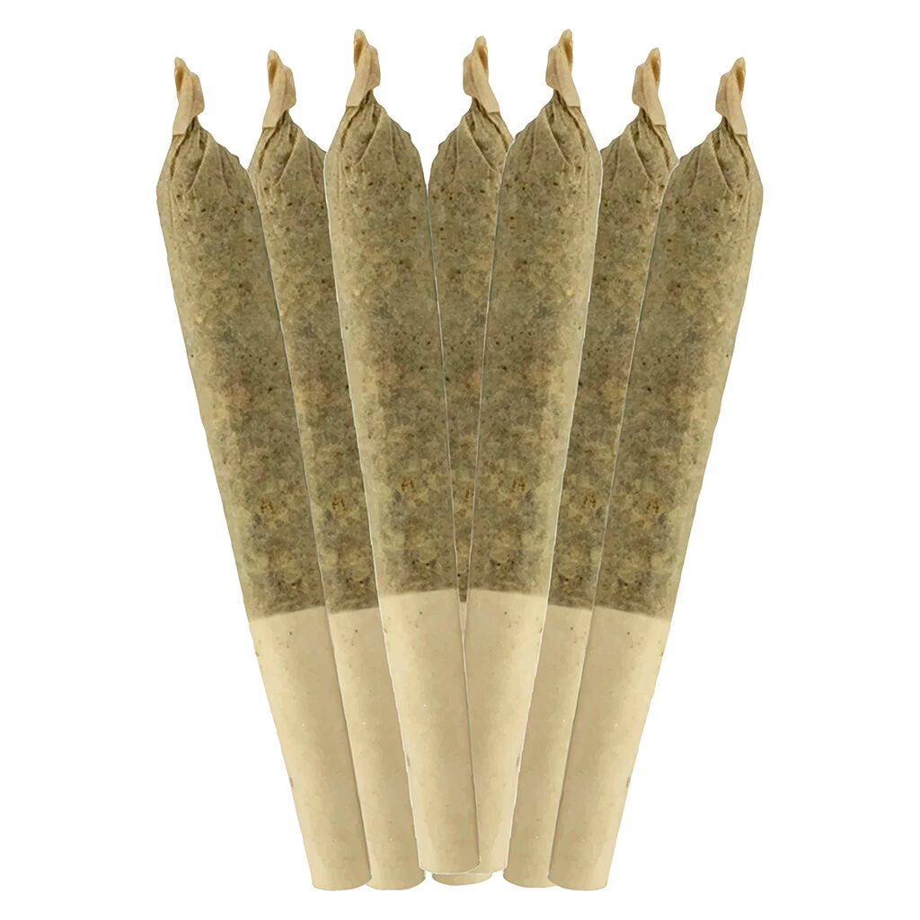 Préroulé Jungle Kush - 
