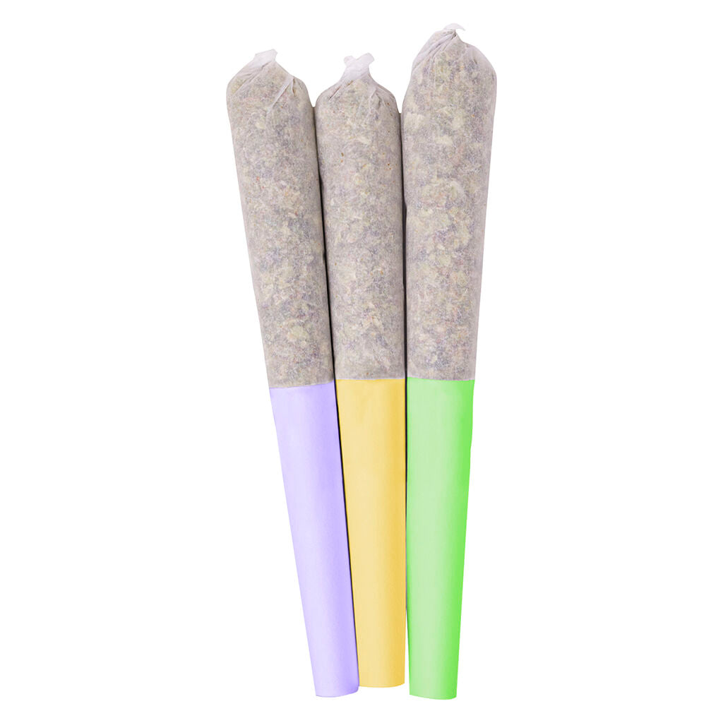 Coffret de préroulés infusé de colophane Glazed - 