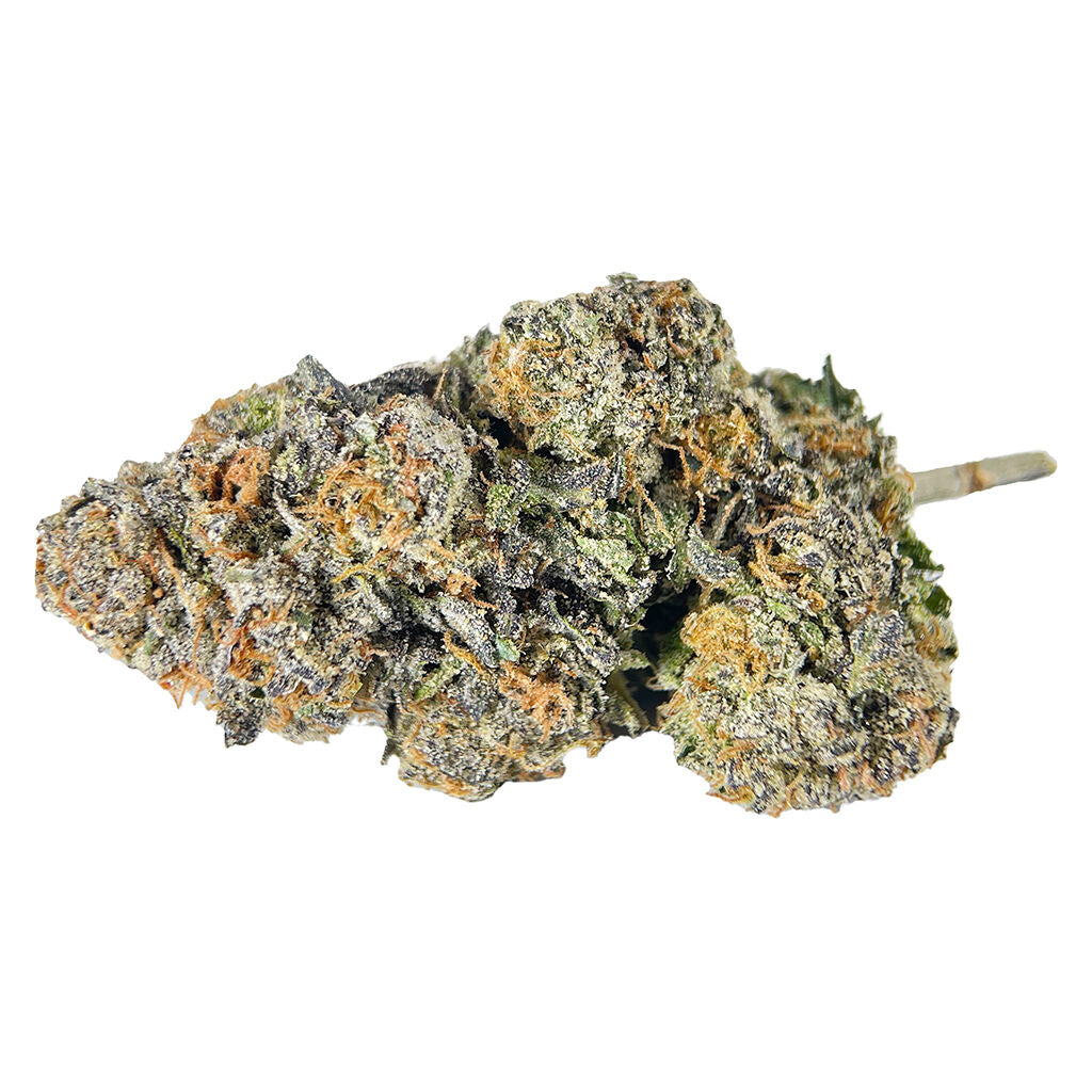 Red Bullz - 