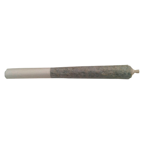 Photo Gorilla Glue 4 Pre-Roll