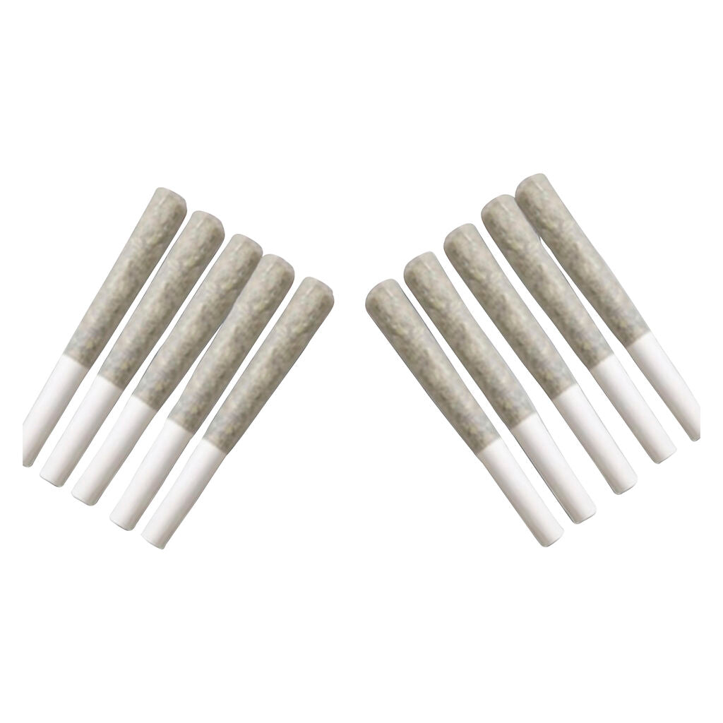 Assortiment de préroulés Monkey - 