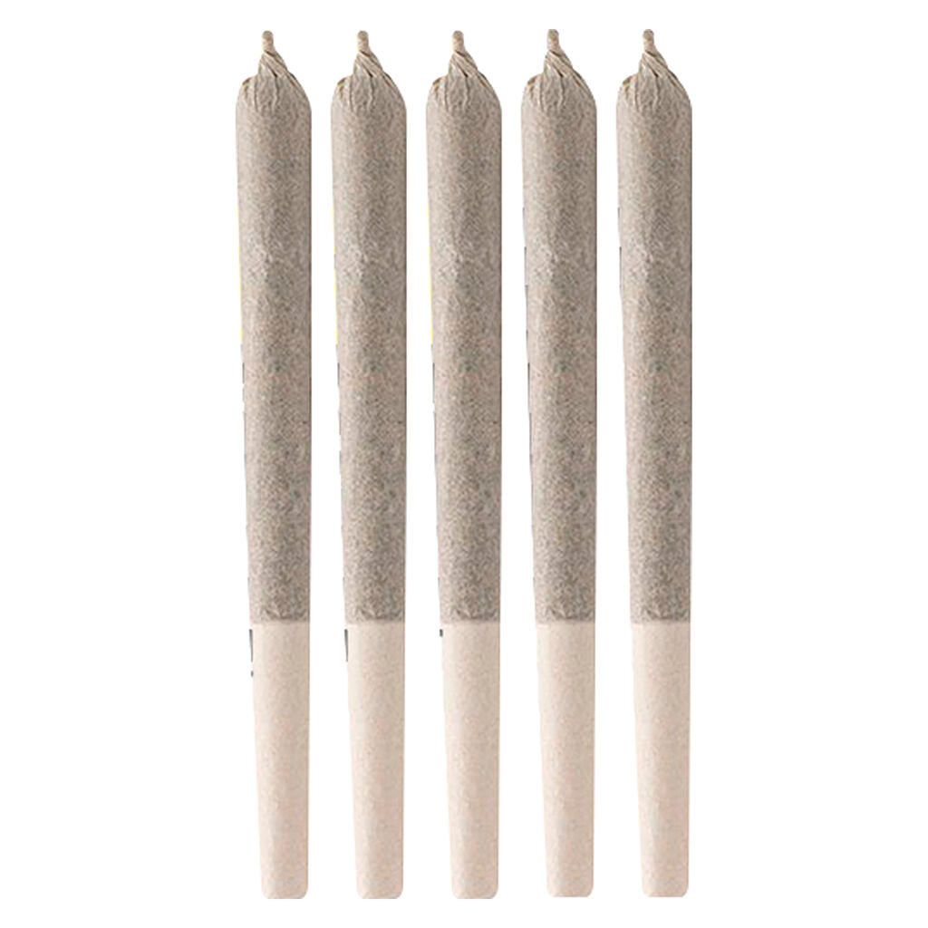 Black Triangle Pre-Roll - 