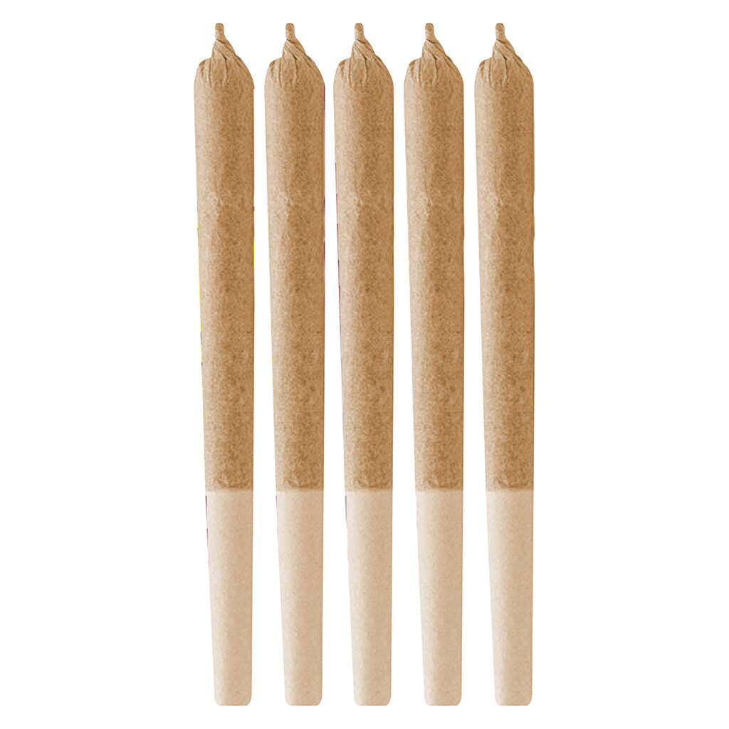Préroulé Jack Herer - 