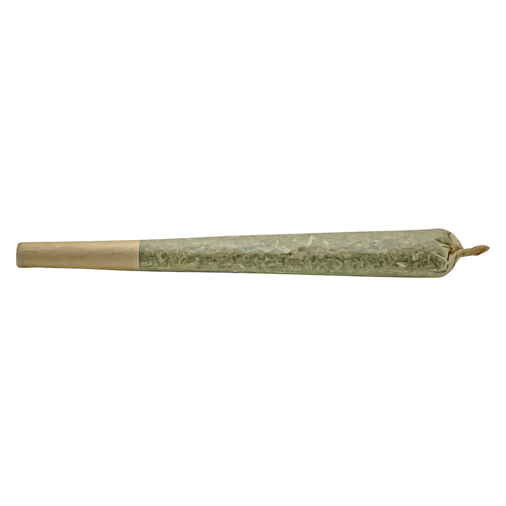 Joint infusé à la colophane - 