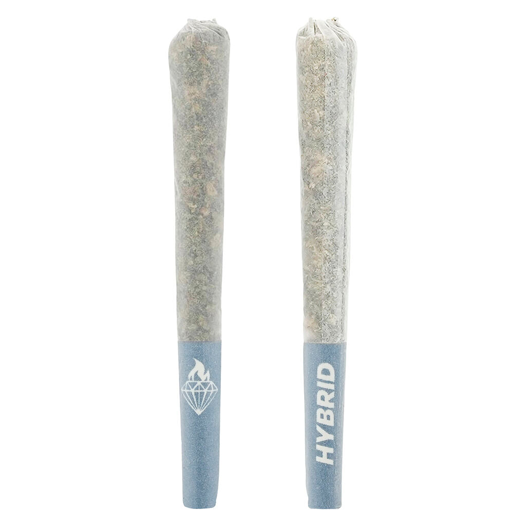 Préroulé infusé Hally Berry - 