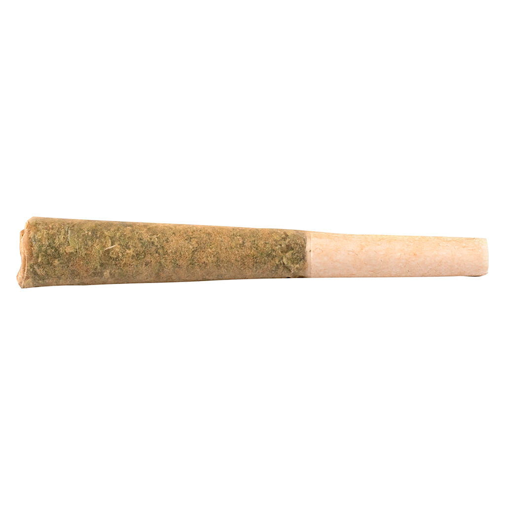 Purple Biscotti Pre-roll - 