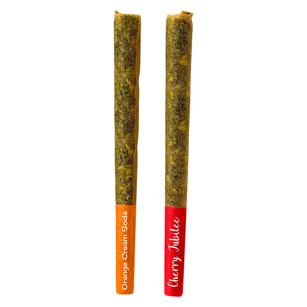 Préroulé infusé  Multi souches - 