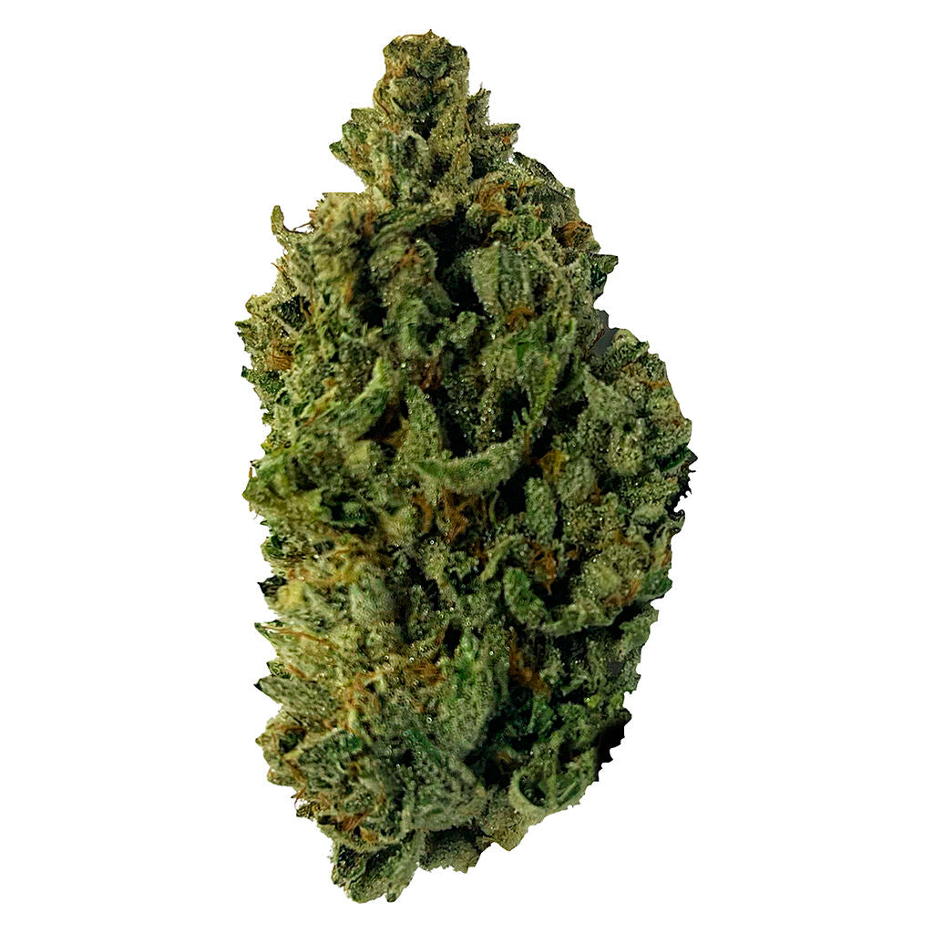 Durban Diesel - 