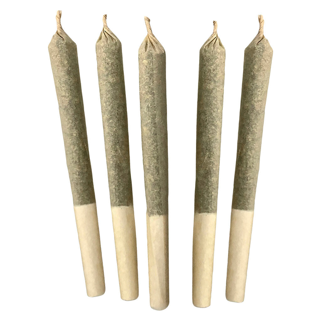 Lemon Fuel OG Pre-Rolls - 
