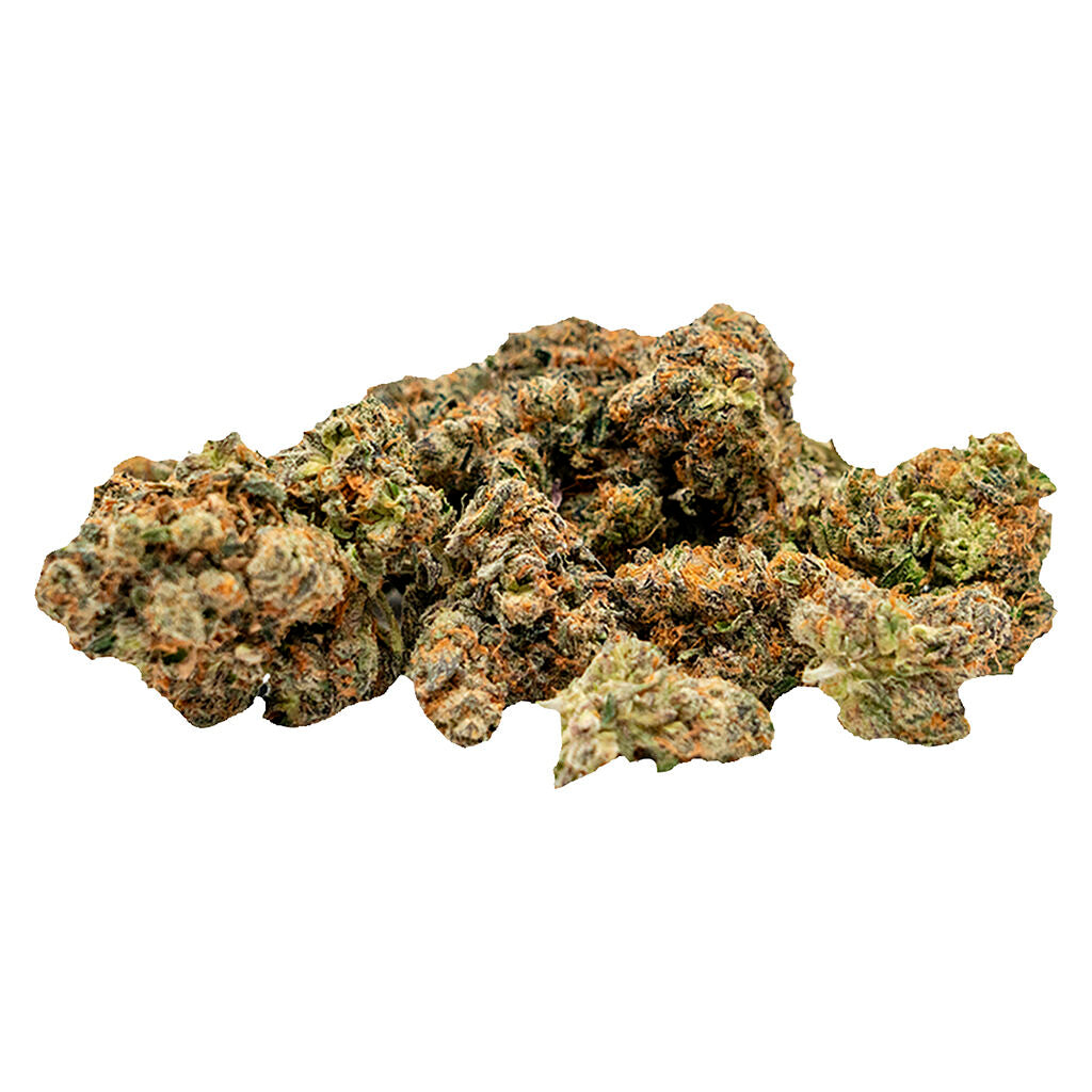 GovernMint Oasis2 - 