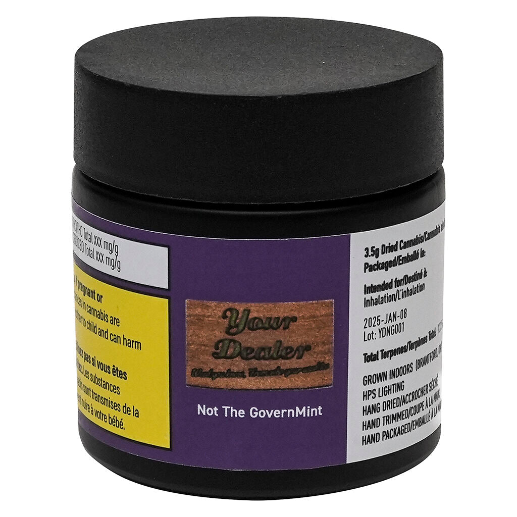 Not The GovernMINT - 