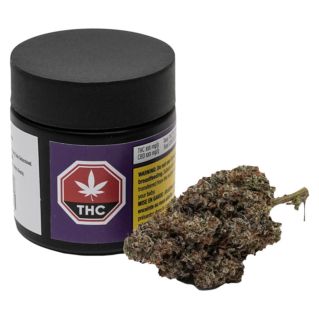 Not The GovernMINT - 