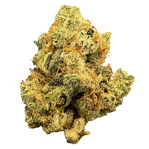 Photo Variété MailMan : UltraViolet GMO