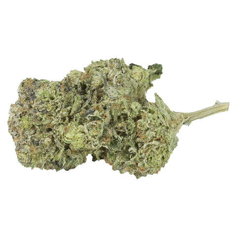 Photo Gelato #4