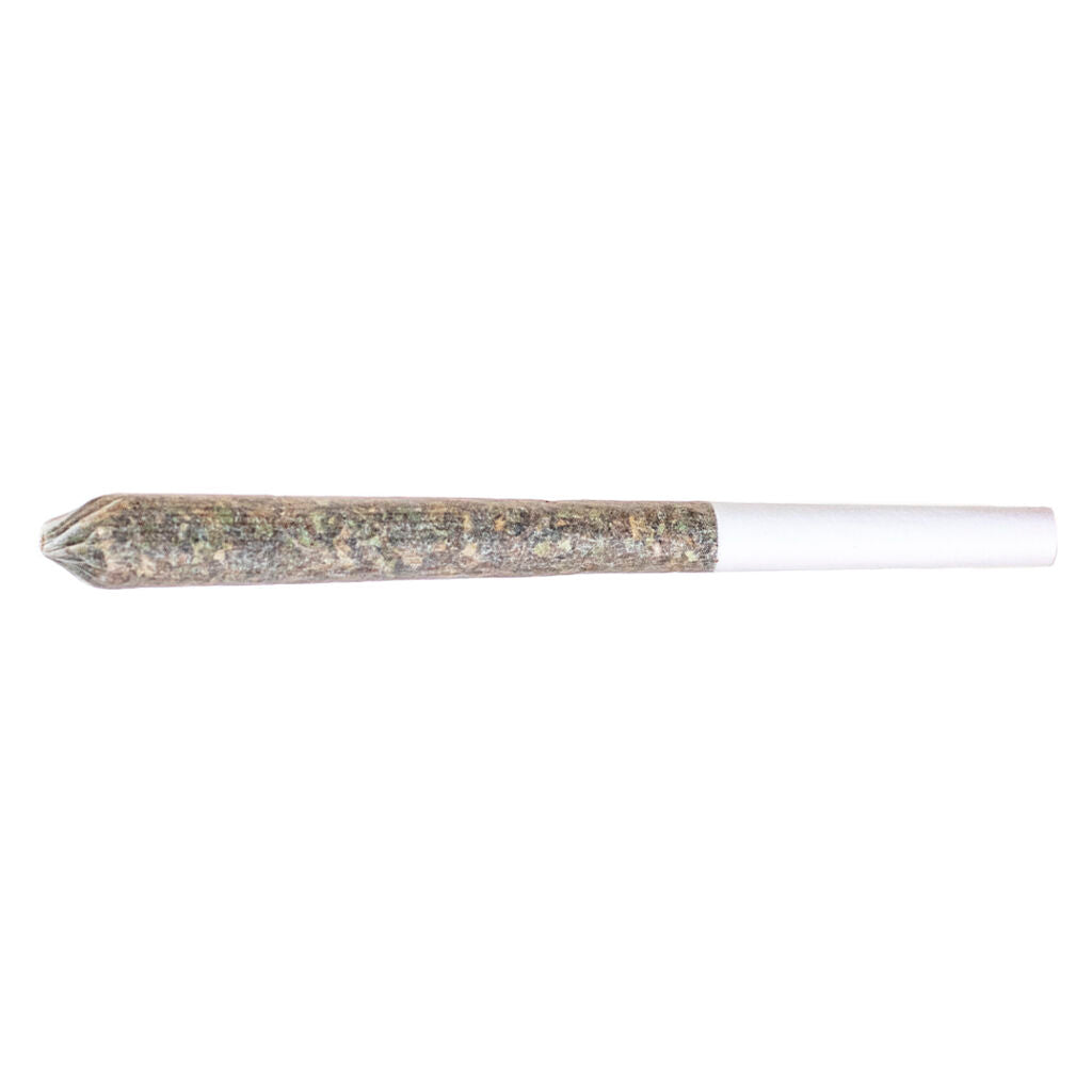 Station House Amnesia Haze Single Pré-Roll - 