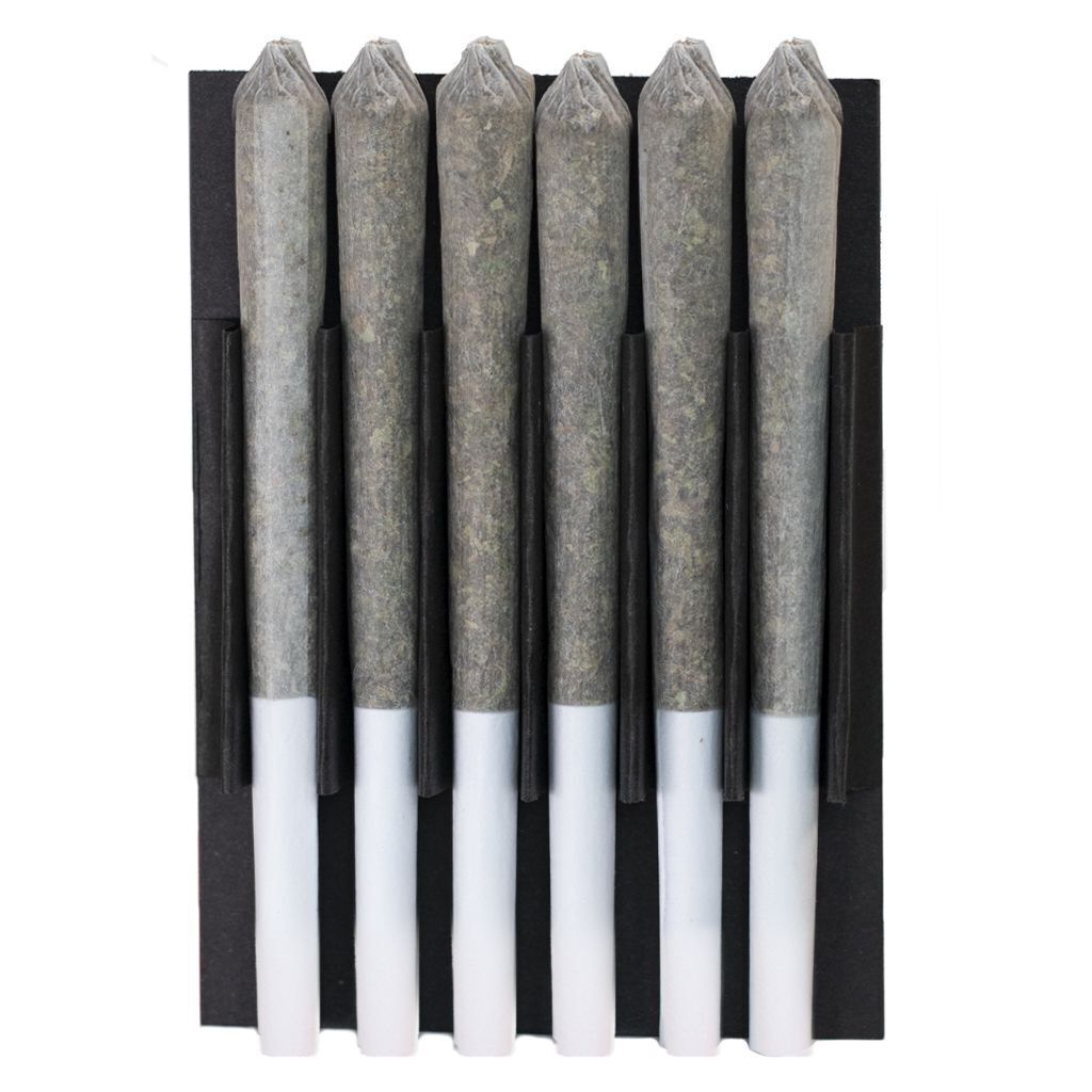 Station House Amnesia Haze Single Pré-Roll - 