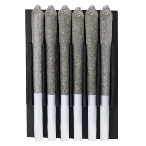 Photo Station House Amnesia Haze Single Pré-Roll
