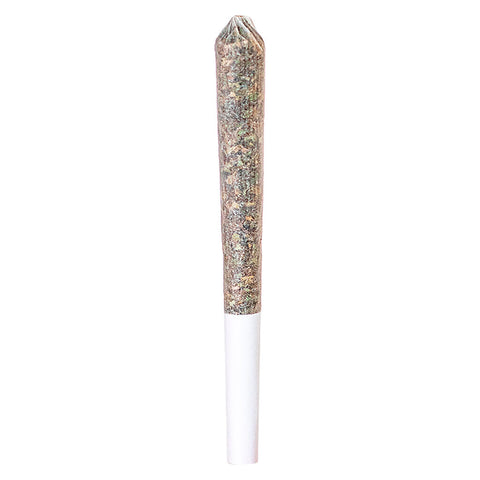 Photo GG#4 Pre-Roll