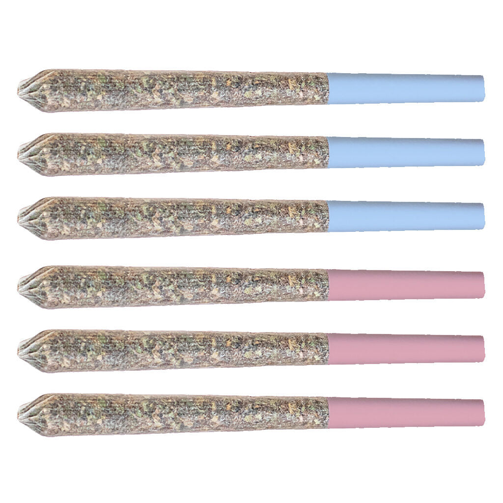 Lot de 6 variétés Station House - 