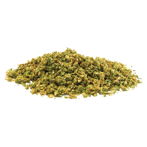 Photo Indica prête à rouler