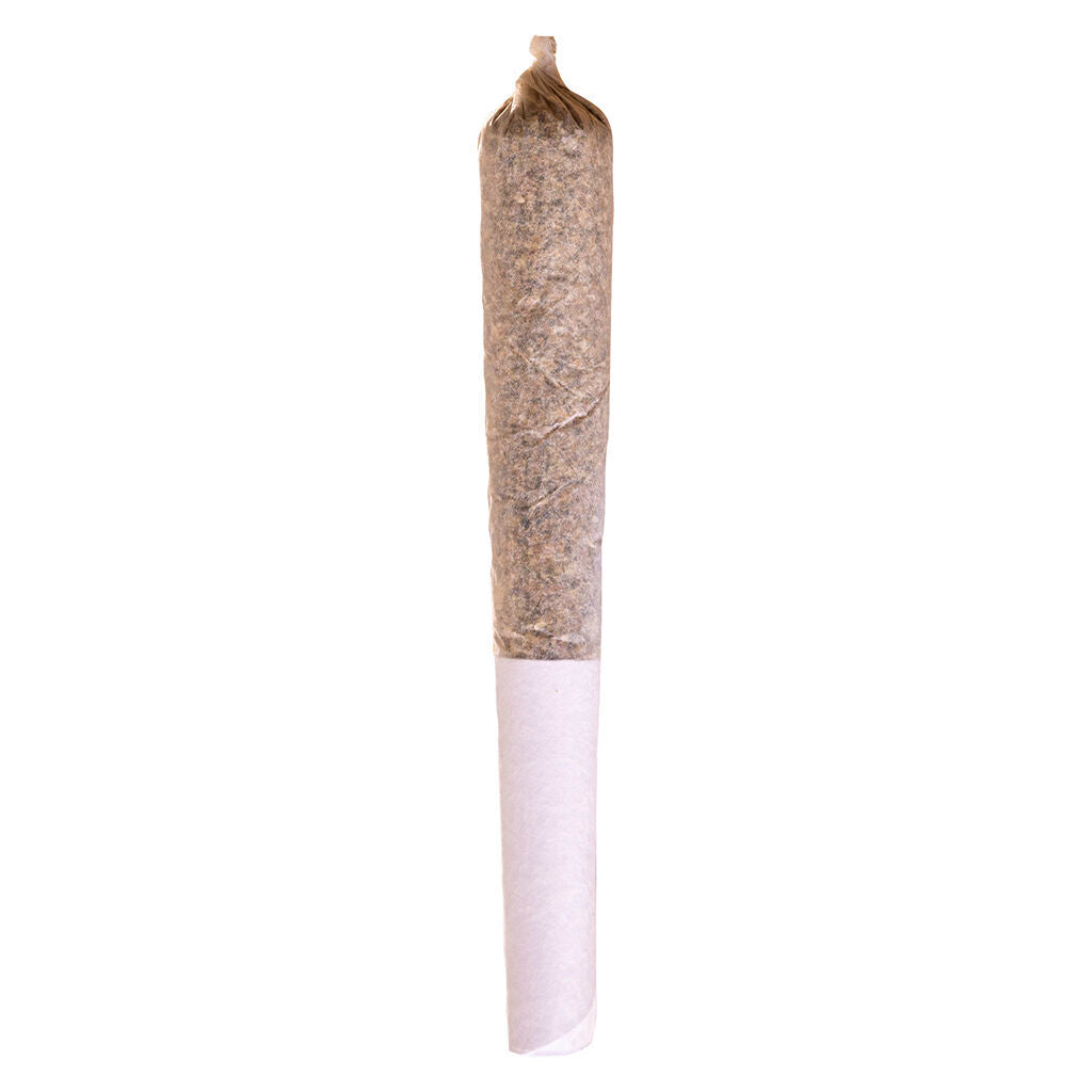 PrérouléFrosted Cherry - 
