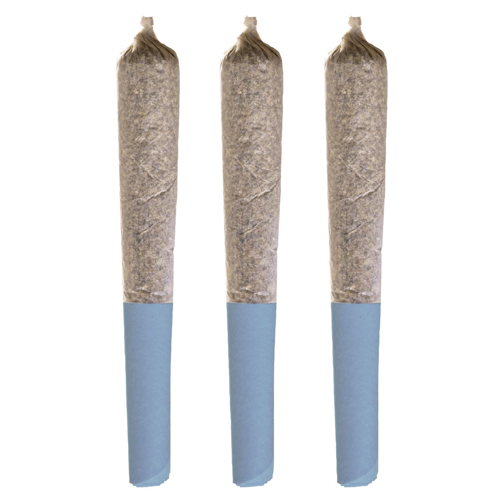 PrérouléFrosted Cherry - 