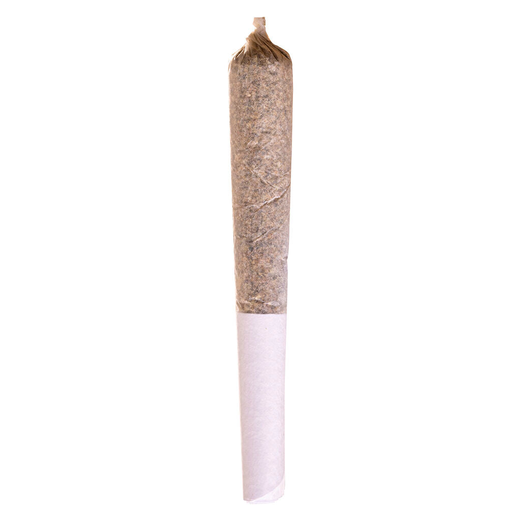 préroulé Jack Herer - 