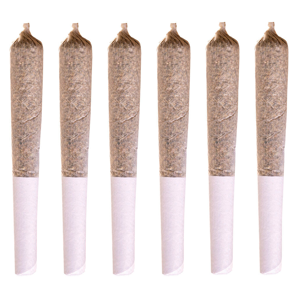 préroulé Jack Herer - 