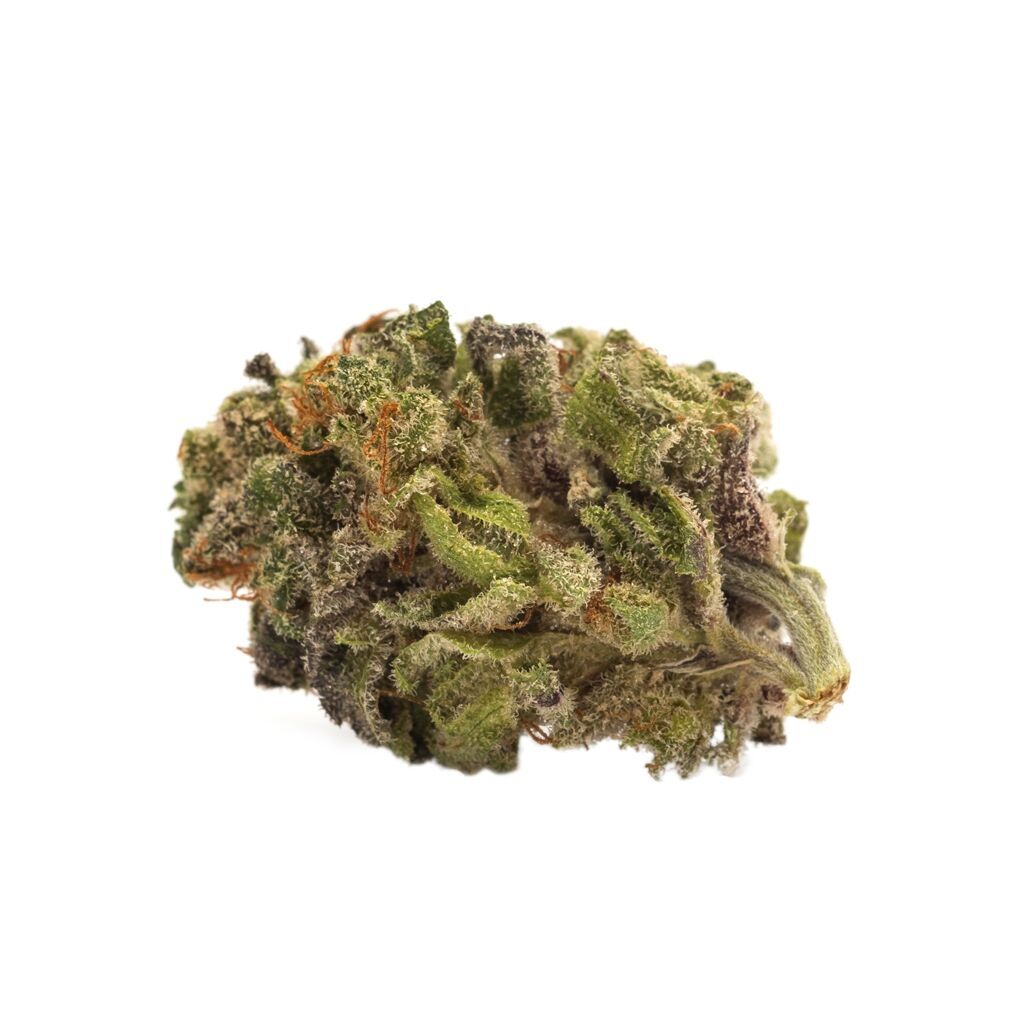 Tropical Hazy Daze - 