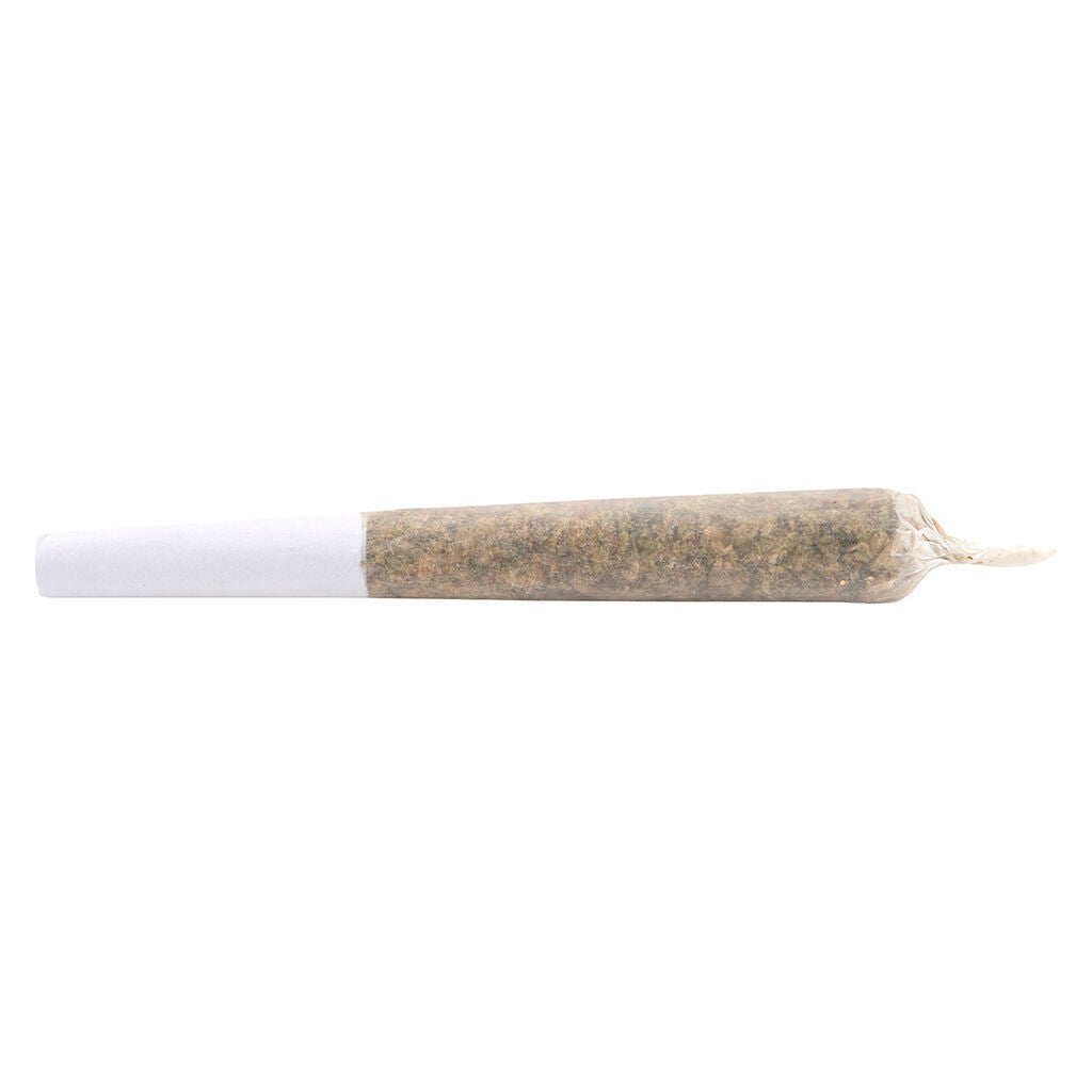 Préroulé de joints infusés haschich à l'eau Purple Slurrican - 