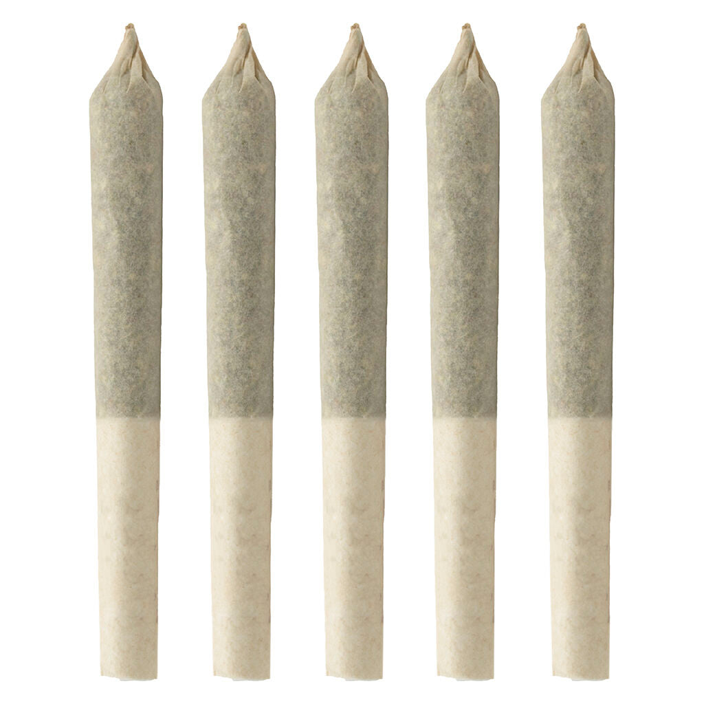 Préroulé BC Organic White Rainbow - 